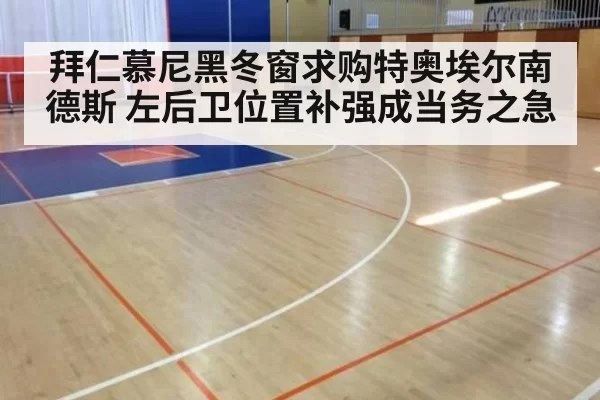 拜仁慕尼黑冬窗求购特奥埃尔南德斯 左后卫位置补强成当务之急